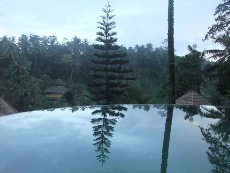 Graha Moding Villas Ubud Zewnętrze zdjęcie