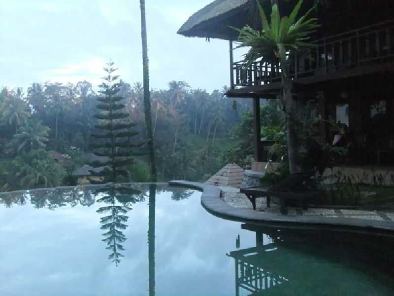 Graha Moding Villas Ubud Zewnętrze zdjęcie
